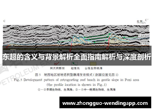 东超的含义与背景解析全面指南解析与深度剖析