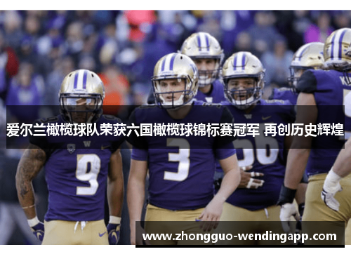 爱尔兰橄榄球队荣获六国橄榄球锦标赛冠军 再创历史辉煌