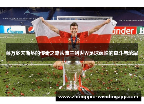 莱万多夫斯基的传奇之路从波兰到世界足球巅峰的奋斗与荣耀