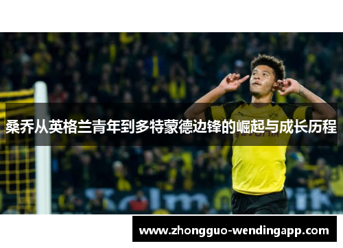 桑乔从英格兰青年到多特蒙德边锋的崛起与成长历程 桑乔从英格兰青年到多特蒙德边锋的崛起与成长历程